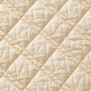 Golden Lattice