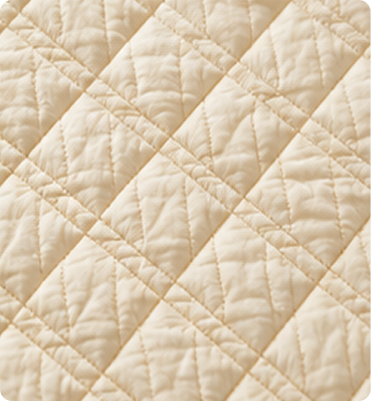 Golden Lattice